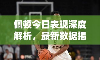 佩顿今日表现深度解析，最新数据揭示惊人实力！