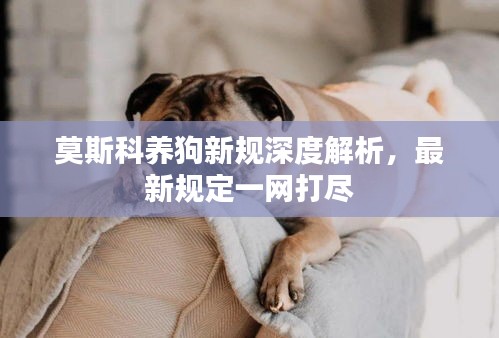 莫斯科养狗新规深度解析，最新规定一网打尽