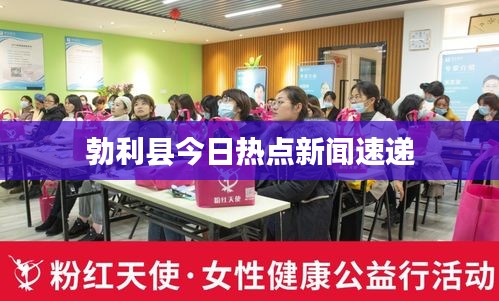勃利县今日热点新闻速递