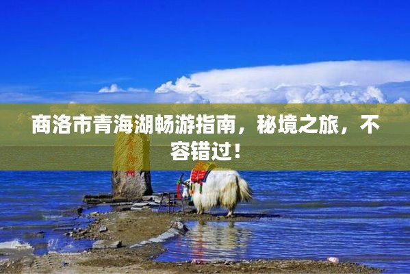 商洛市青海湖畅游指南，秘境之旅，不容错过！