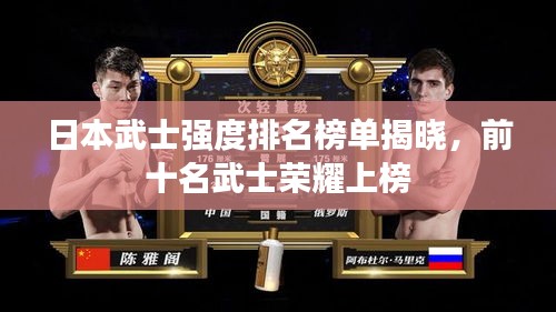 日本武士强度排名榜单揭晓，前十名武士荣耀上榜