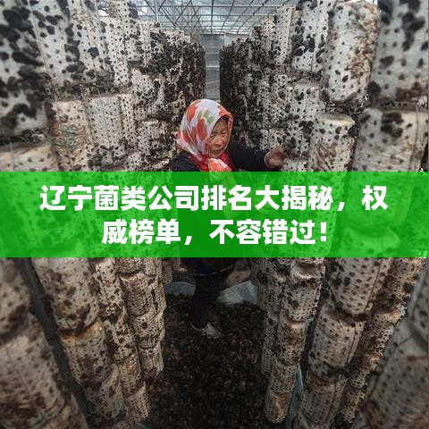 辽宁菌类公司排名大揭秘，权威榜单，不容错过！
