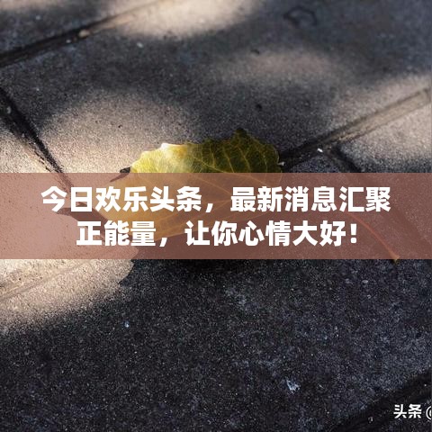 今日欢乐头条，最新消息汇聚正能量，让你心情大好！