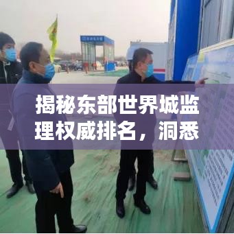 揭秘东部世界城监理权威排名，洞悉行业精英榜单