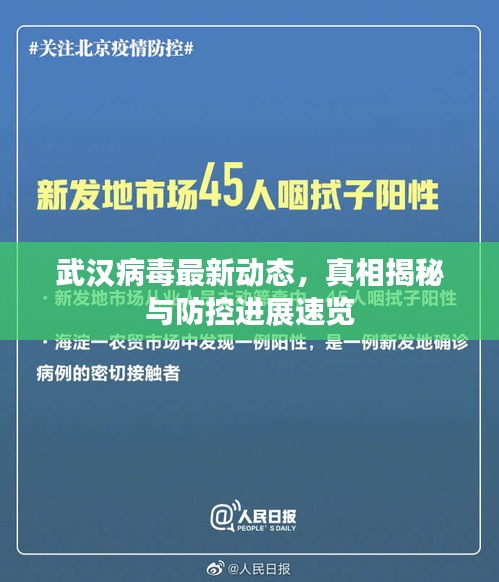 武汉病毒最新动态，真相揭秘与防控进展速览