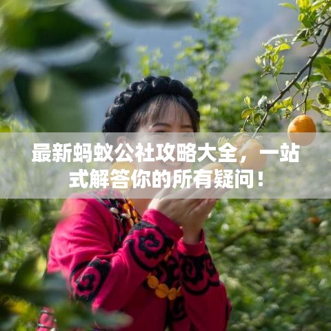 最新蚂蚁公社攻略大全，一站式解答你的所有疑问！