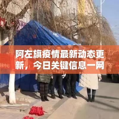 阿左旗疫情最新动态更新，今日关键信息一网打尽！