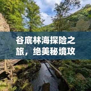 谷底林海探险之旅，绝美秘境攻略大揭秘！