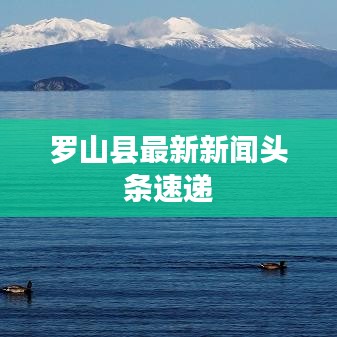 罗山县最新新闻头条速递