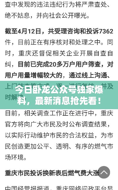 今日卧龙公众号独家爆料，最新消息抢先看！