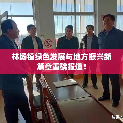 林场镇绿色发展与地方振兴新篇章重磅报道！