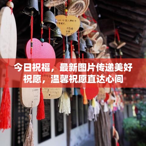 今日祝福，最新图片传递美好祝愿，温馨祝愿直达心间