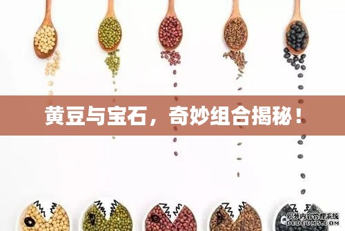 黄豆与宝石，奇妙组合揭秘！