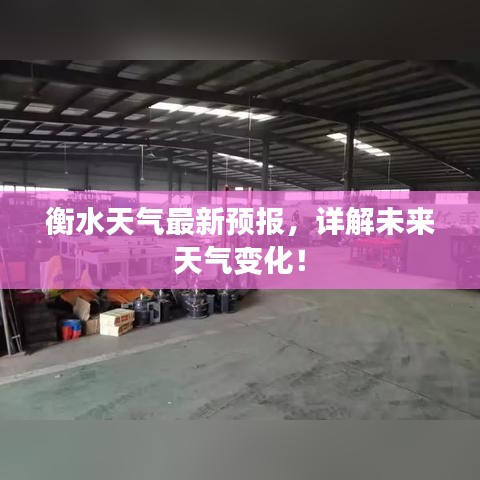 衡水天气最新预报，详解未来天气变化！