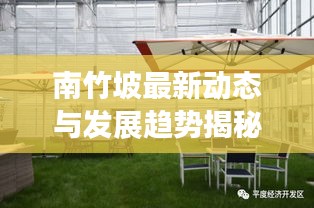 南竹坡最新动态与发展趋势揭秘，新闻头条聚焦当地要闻