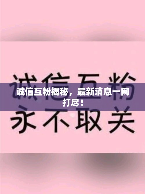 诚信互粉揭秘，最新消息一网打尽！