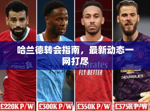 哈兰德转会指南，最新动态一网打尽