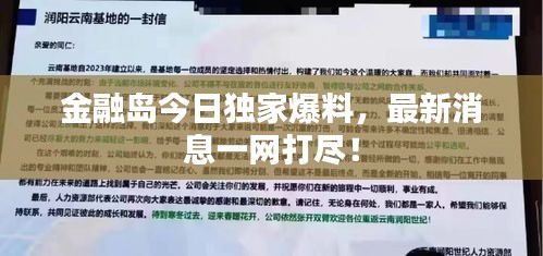 金融岛今日独家爆料，最新消息一网打尽！