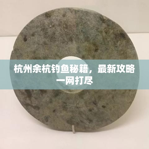 杭州余杭钓鱼秘籍，最新攻略一网打尽