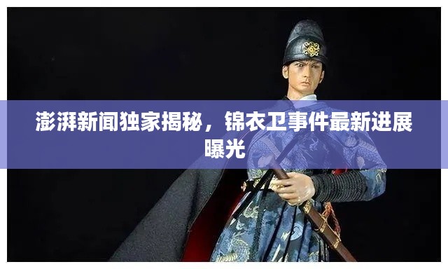 澎湃新闻独家揭秘，锦衣卫事件最新进展曝光