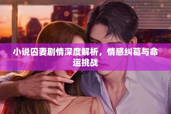 小说囚妻剧情深度解析，情感纠葛与命运挑战