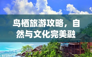 鸟栖旅游攻略，自然与文化完美融合的探索之旅