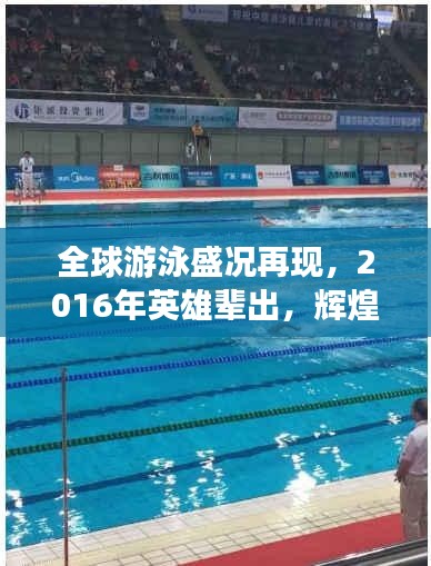 全球游泳盛况再现，2016年英雄辈出，辉煌传奇年！