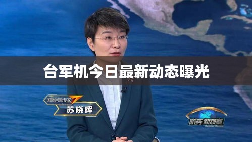 台军机今日最新动态曝光