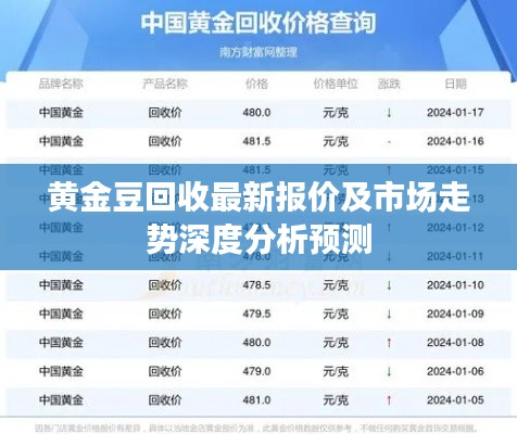 黄金豆回收最新报价及市场走势深度分析预测