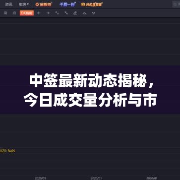 中签最新动态揭秘，今日成交量分析与市场走势洞察