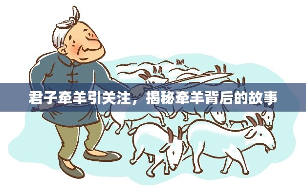 君子牵羊引关注，揭秘牵羊背后的故事