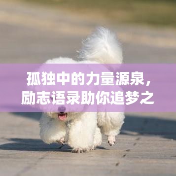 孤独中的力量源泉，励志语录助你追梦之旅