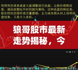 狼哥股市最新走势揭秘，今日行情分析与解读