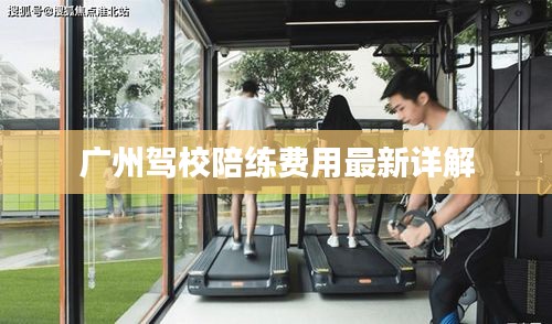 广州驾校陪练费用最新详解