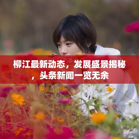 柳江最新动态，发展盛景揭秘，头条新闻一览无余