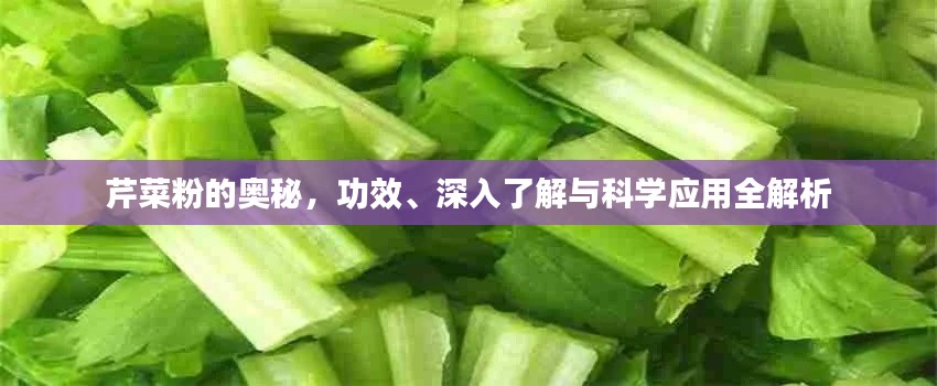 芹菜粉的奥秘，功效、深入了解与科学应用全解析