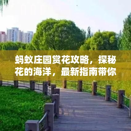 蚂蚁庄园赏花攻略，探秘花的海洋，最新指南带你畅游花海世界！