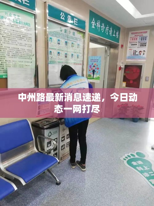 中州路最新消息速递，今日动态一网打尽