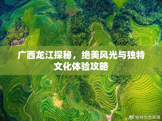 广西龙江探秘，绝美风光与独特文化体验攻略