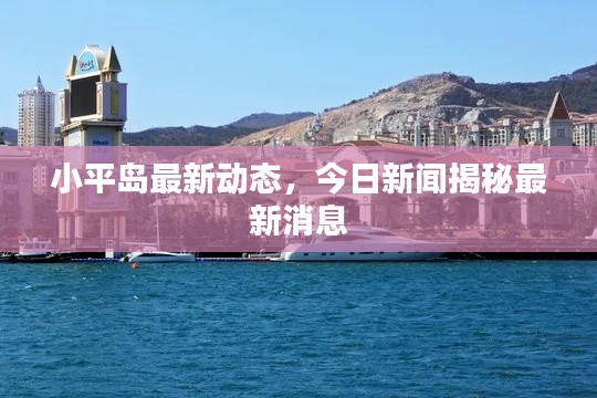 小平岛最新动态，今日新闻揭秘最新消息