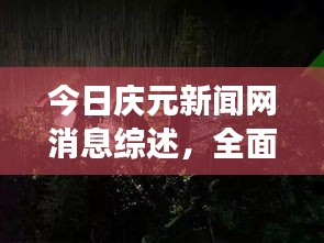 今日庆元新闻网消息综述，全面解读最新动态