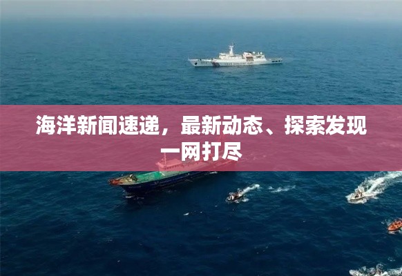 海洋新闻速递，最新动态、探索发现一网打尽