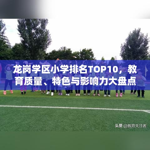 龙岗学区小学排名TOP10，教育质量、特色与影响力大盘点