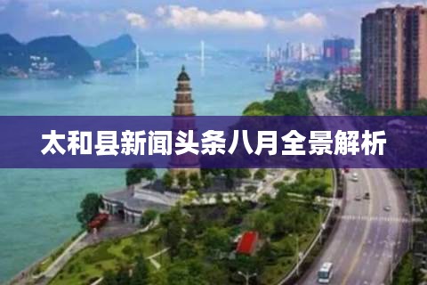 太和县新闻头条八月全景解析