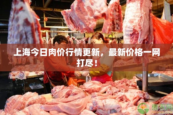 上海今日肉价行情更新，最新价格一网打尽！