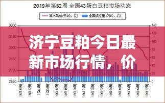 济宁豆粕今日最新市场行情，价格走势一网打尽！