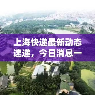 上海快递最新动态速递，今日消息一网打尽