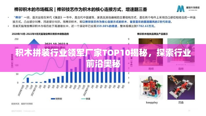 积木拼装行业领军厂家TOP10揭秘，探索行业前沿奥秘