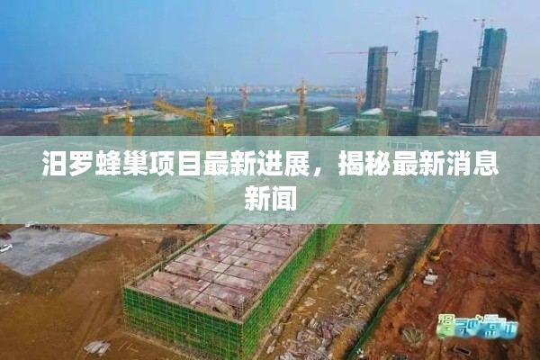 汨罗蜂巢项目最新进展，揭秘最新消息新闻