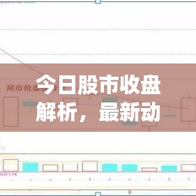 今日股市收盘解析，最新动态评股全攻略
